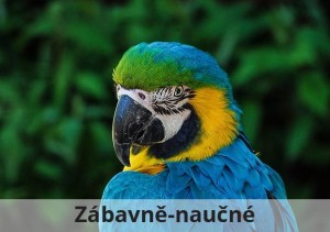 zabavne_naucne